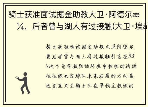 骑士获准面试掘金助教大卫·阿德尔曼，后者曾与湖人有过接触(大卫·埃尔姆)